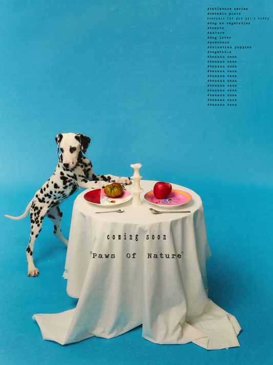 THE ART OF DINING: WELCOME TO THE WORLD OF BONANA CASA CERAMIC PLATES