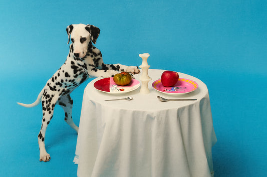 Artistic still life photo of Bonana Casa's ceramic plates set, featuring a porcelain plate, decorative plate, and other tableware, arranged on a table with a playful Dalmatian dog, highlighting the cheerful and unique design.