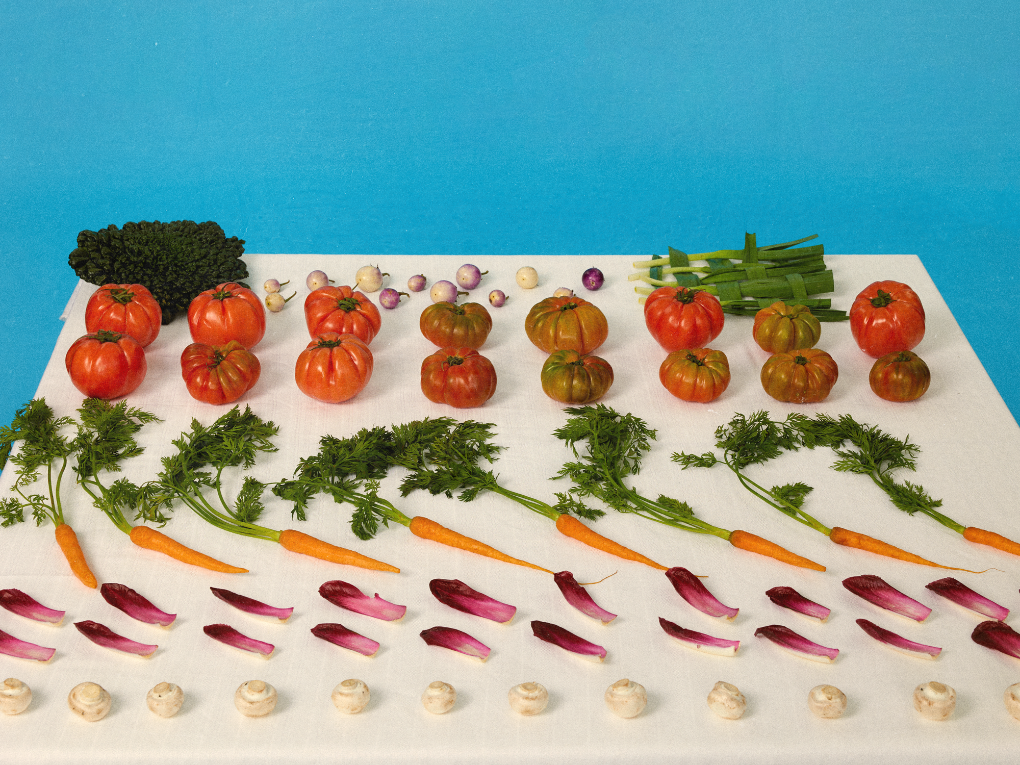 Vivid still life tableau featuring a table adorned with an array of fresh vegetables, evoking our Tableware theme and connection to nature.