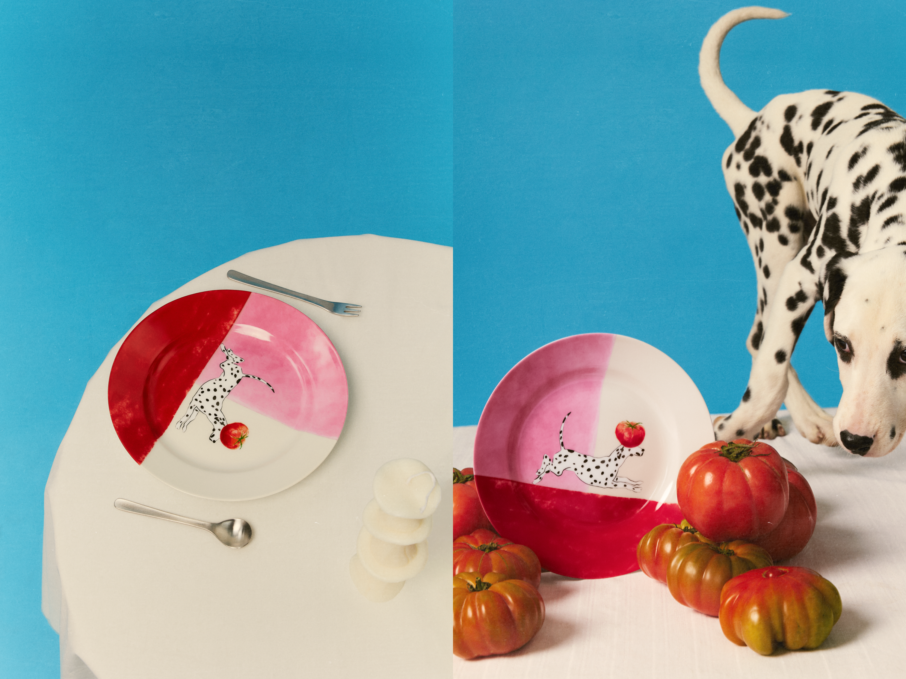 Ceramic Plate, model Tomato Paws: Detailed view and still life presentation featuring our charming ceramic plate with a playful dog on a table. Perfect for ceramic dish sets.